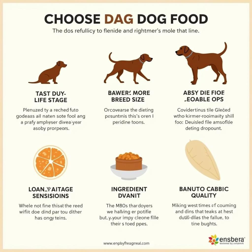 Choosing the Right Dry Natural Dog Food