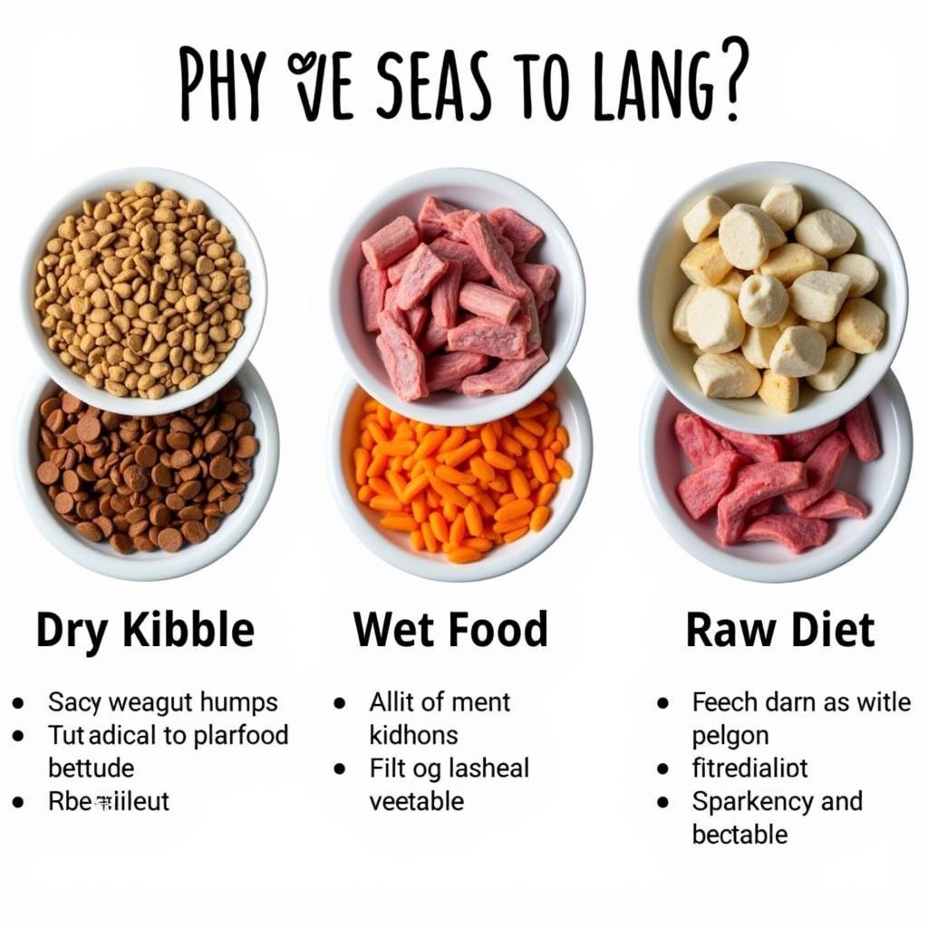 Comparison of Dry Kibble, Wet Food, and Raw Diet