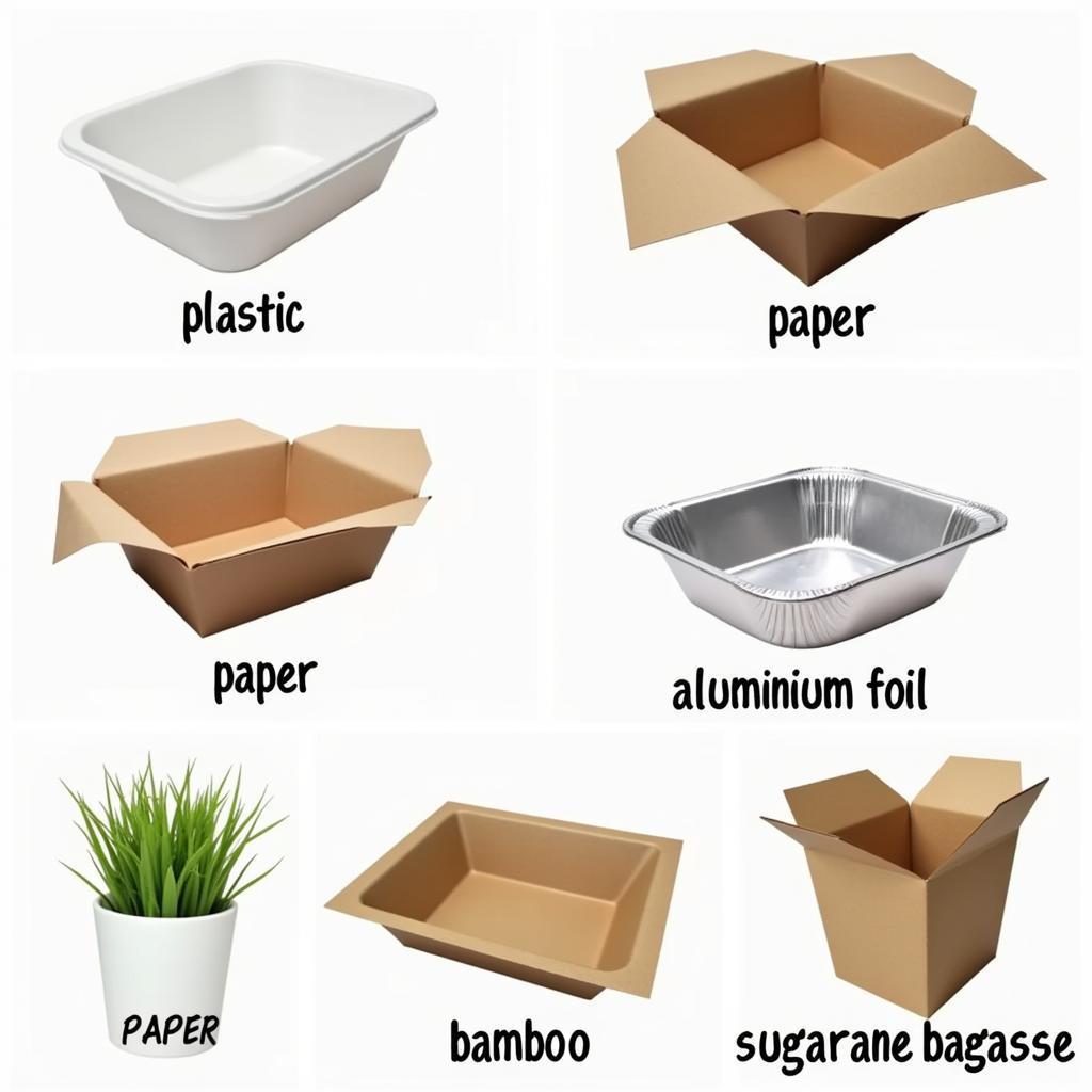 Various Materials for Food Containers: Plastic, Paper, Aluminum, Biodegradable