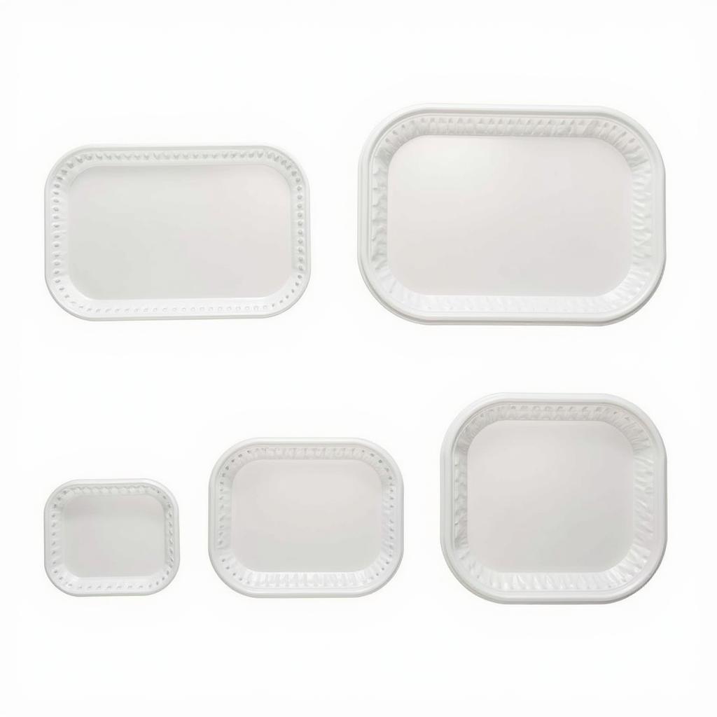 Different Sized Food Containers for Various Needs