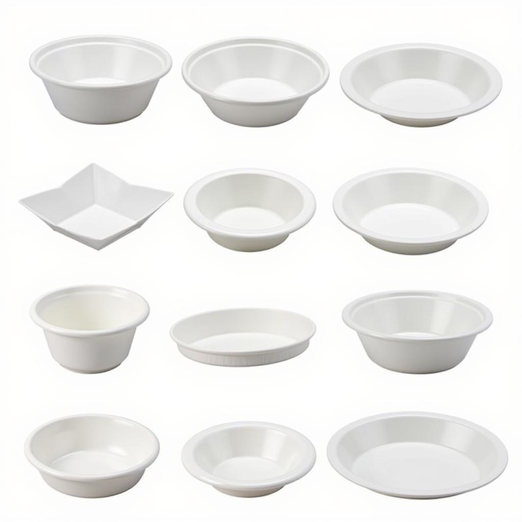 Variety of Disposable Bowls for Hot Food