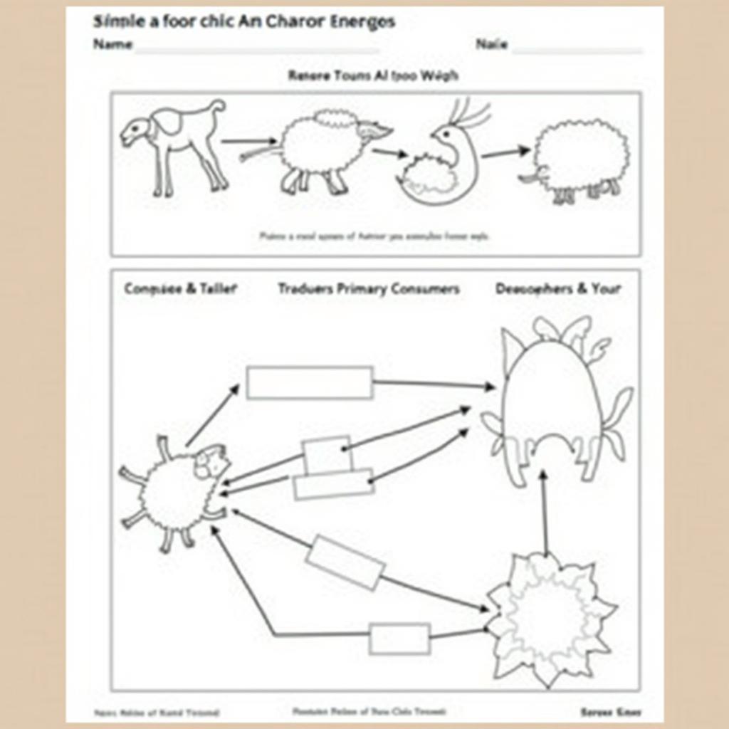 Example of a Completed Food Chain Food Web Worksheet