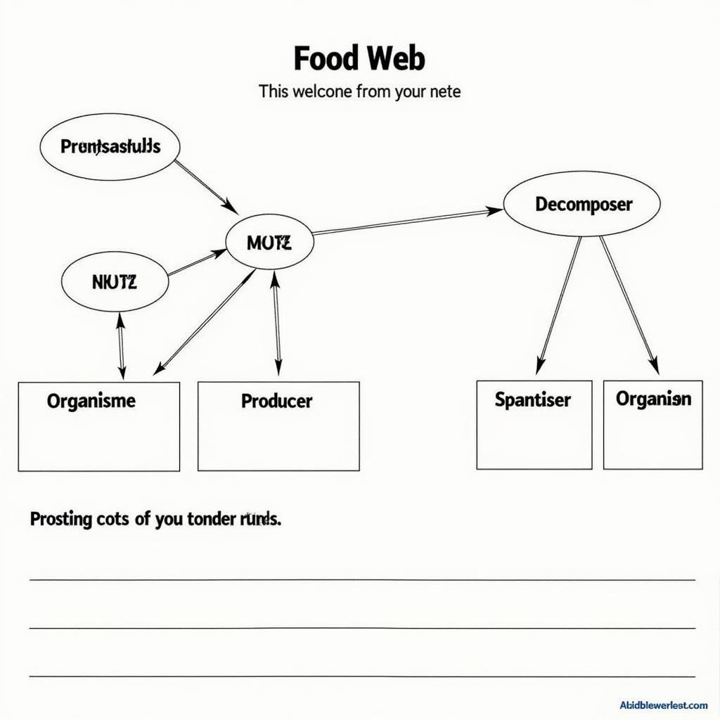 Example of a Food Web Worksheet