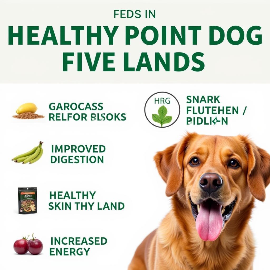 Benefits of Hi Point Zero Dog Food