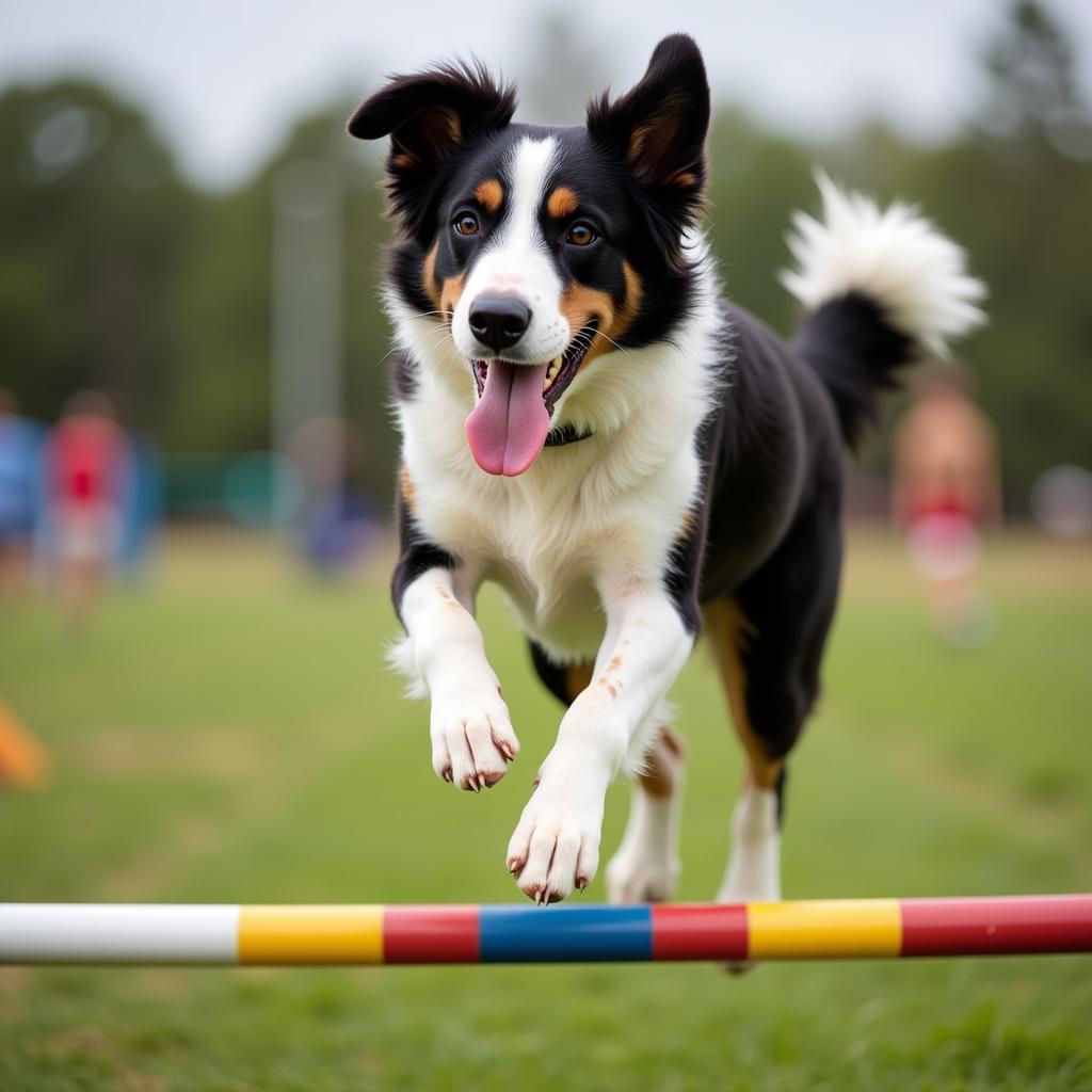 High-Calorie Dog Food for Active Dogs