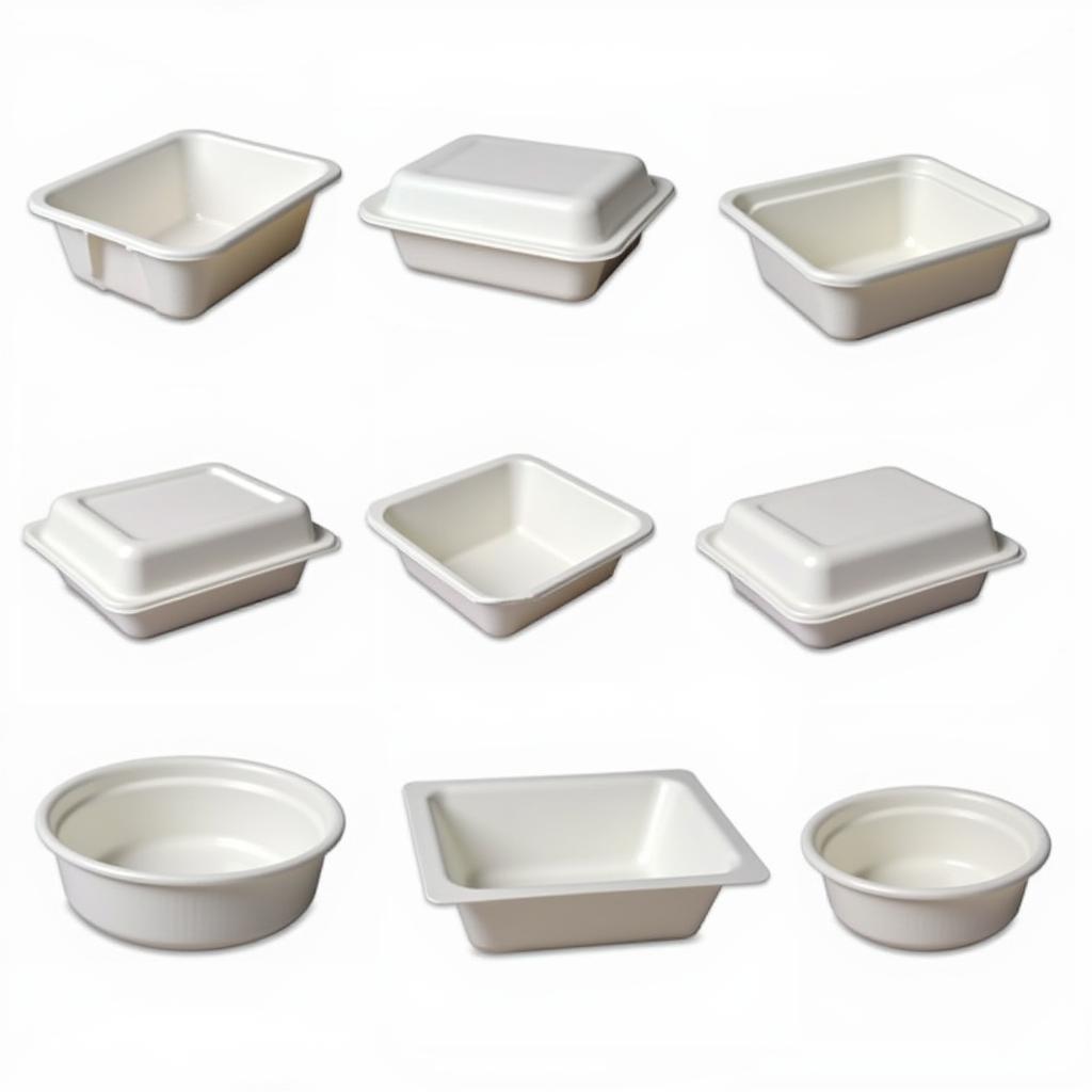 Various Types of Hot Food Containers for Restaurants