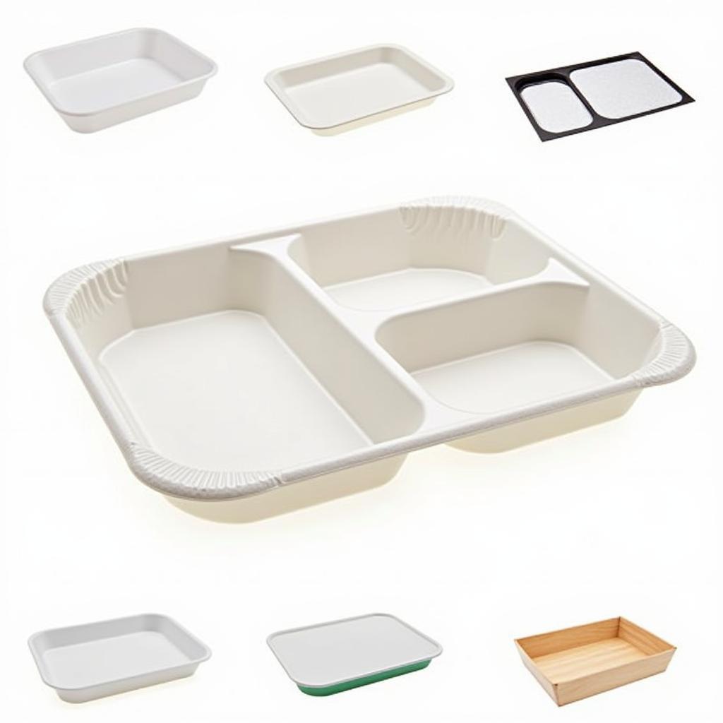 Various Medium Sized Food Trays for Different Occasions