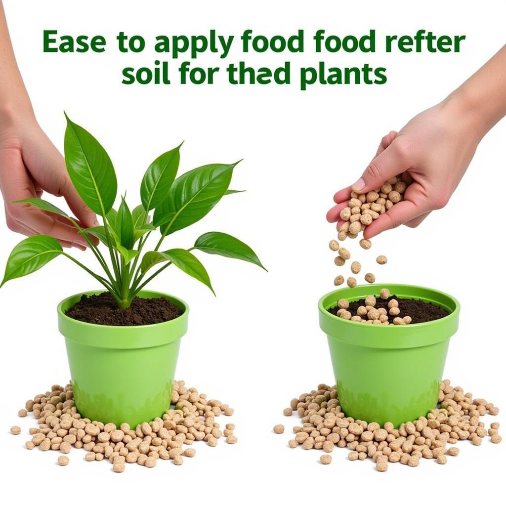 Applying plant food pellets to potted plants