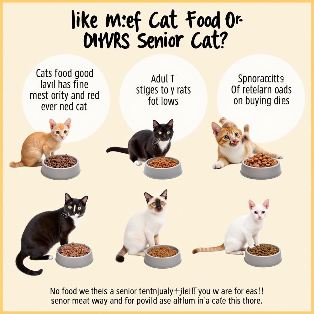 Real Meat Cat Food for Different Life Stages