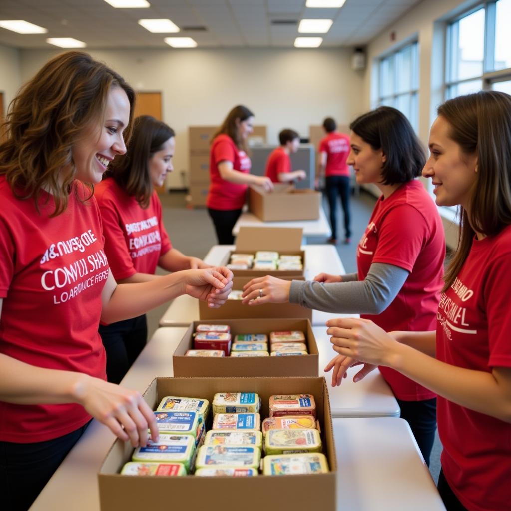 Volunteers Sorting and Packing Food Boxes