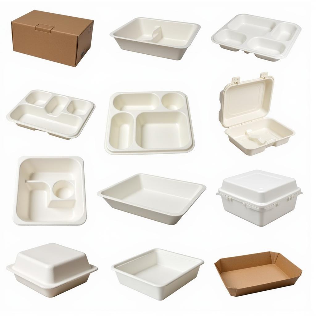 Variety of To Go Food Trays