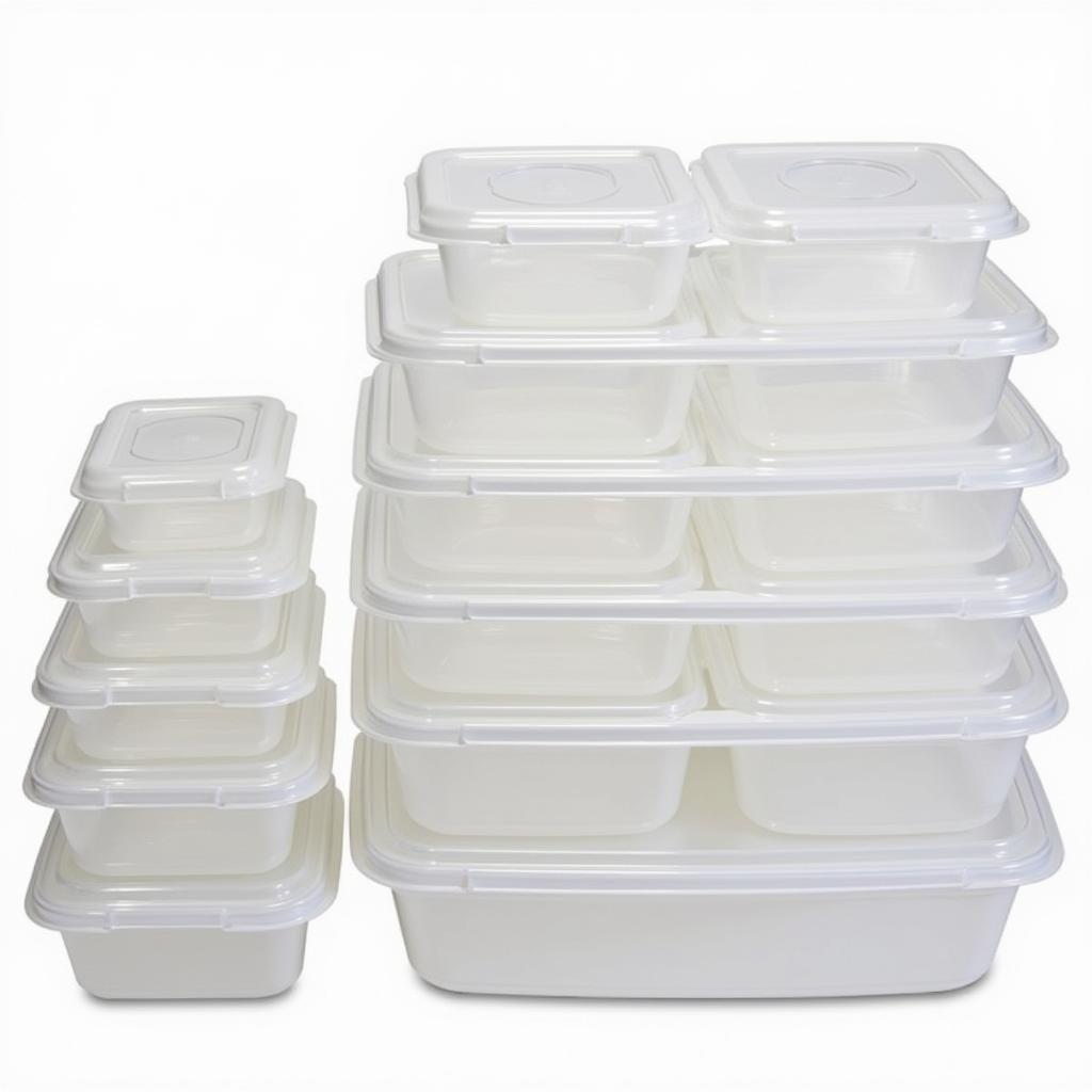 Different sized deli food storage containers arranged to showcase their capacity.