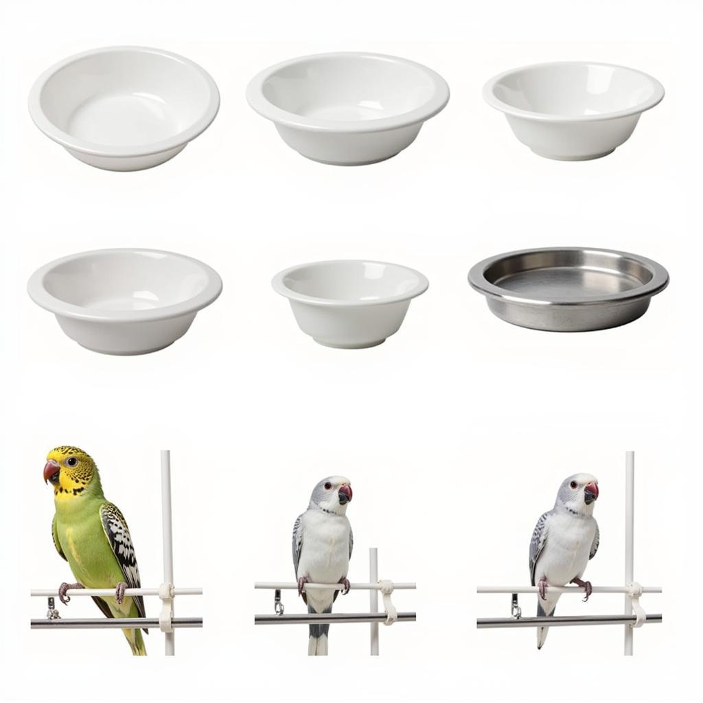 Bird Food Dishes in Various Sizes and Materials