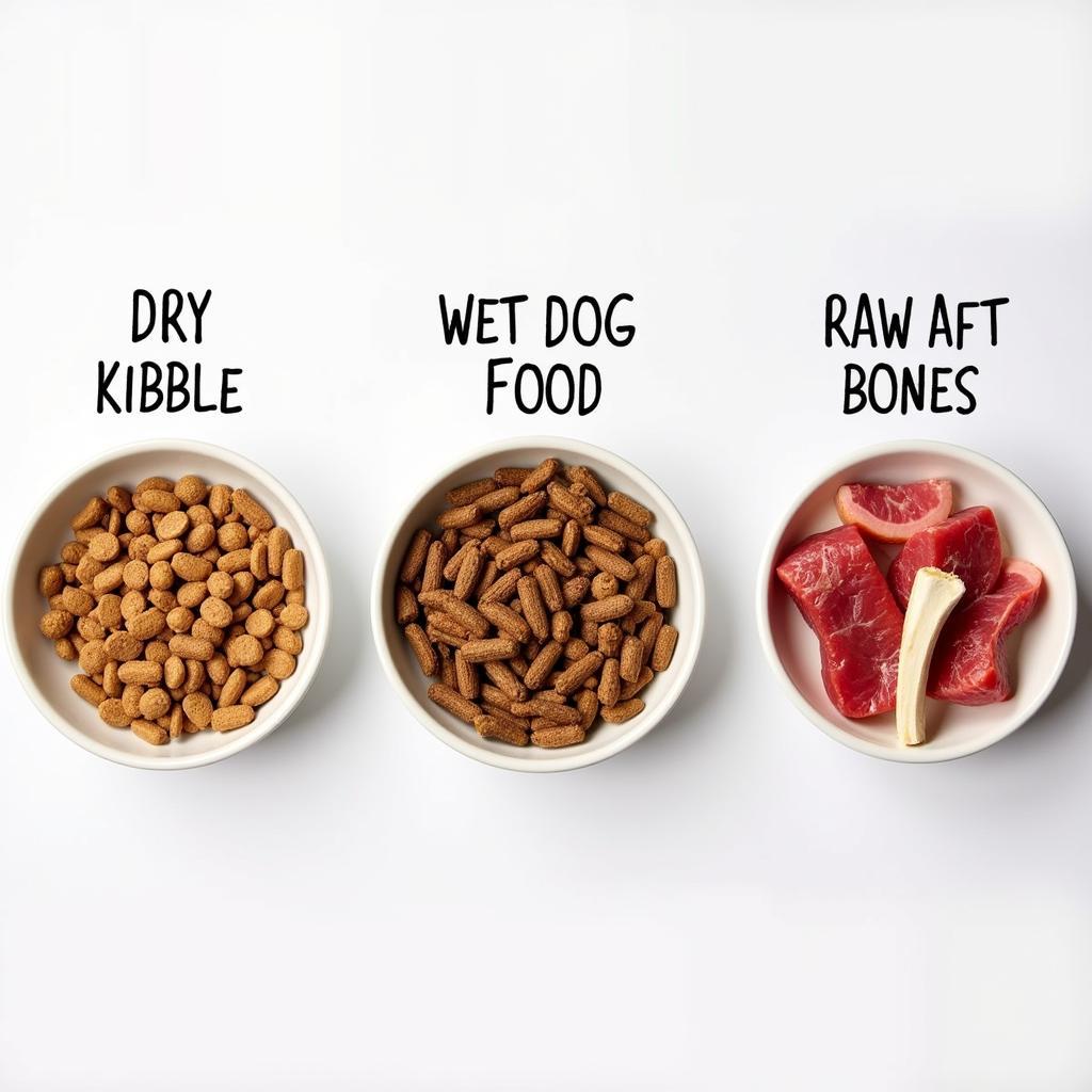 Various types of dog food - kibble, wet, and raw