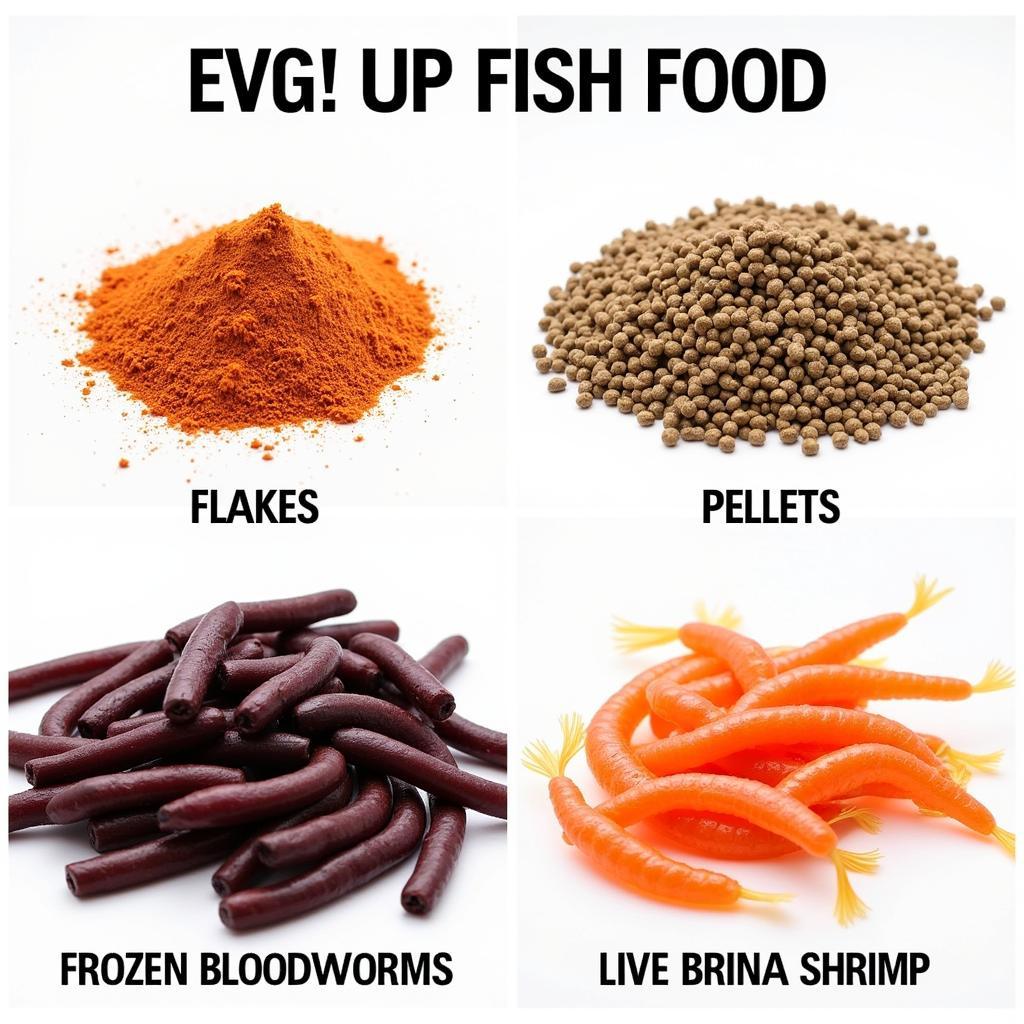 Various Forms of Fish Food Available in the Market