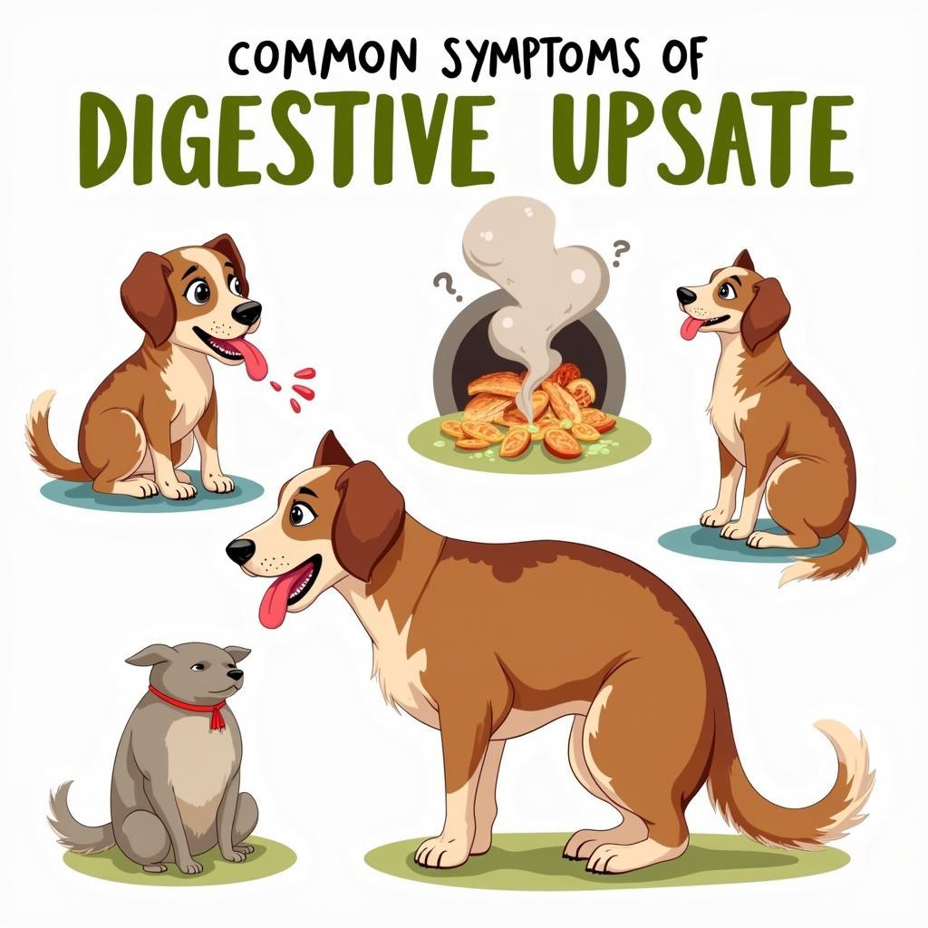 Common Symptoms of a Sensitive Stomach in Dogs