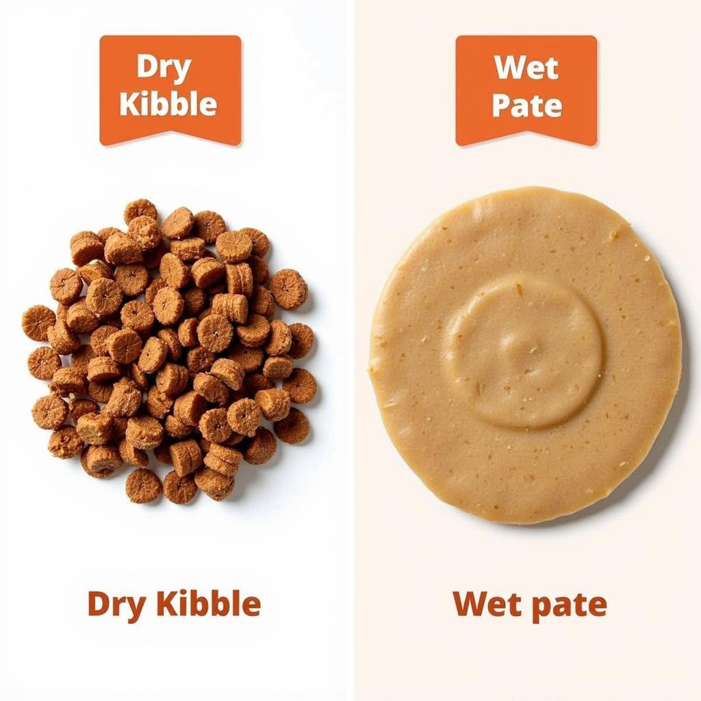 Dry vs Wet Cat Food Comparison