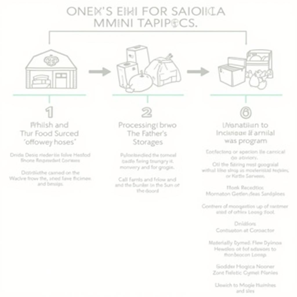 Logistics of food distribution at The Father's House