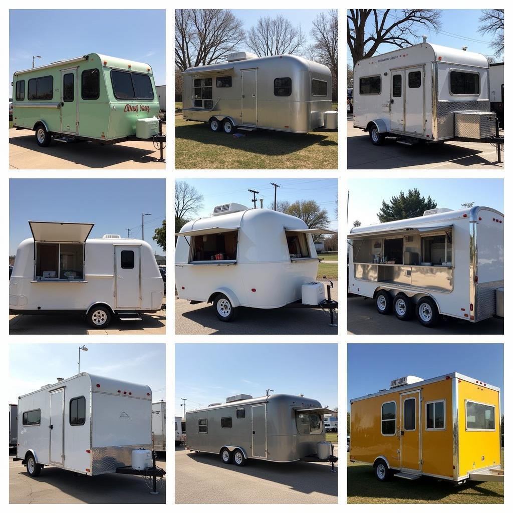 Various Food Trailers for Sale in Dallas