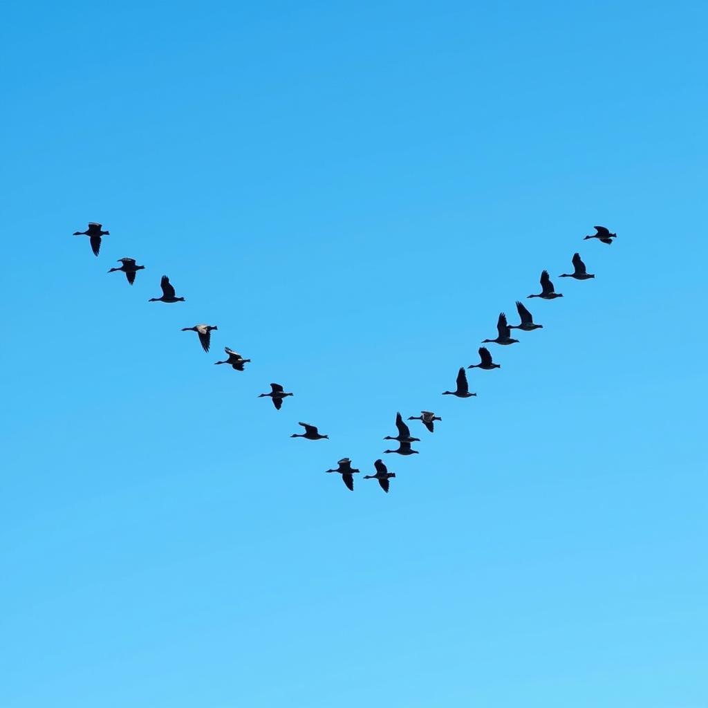 Geese flying in a V-formation across a clear sky