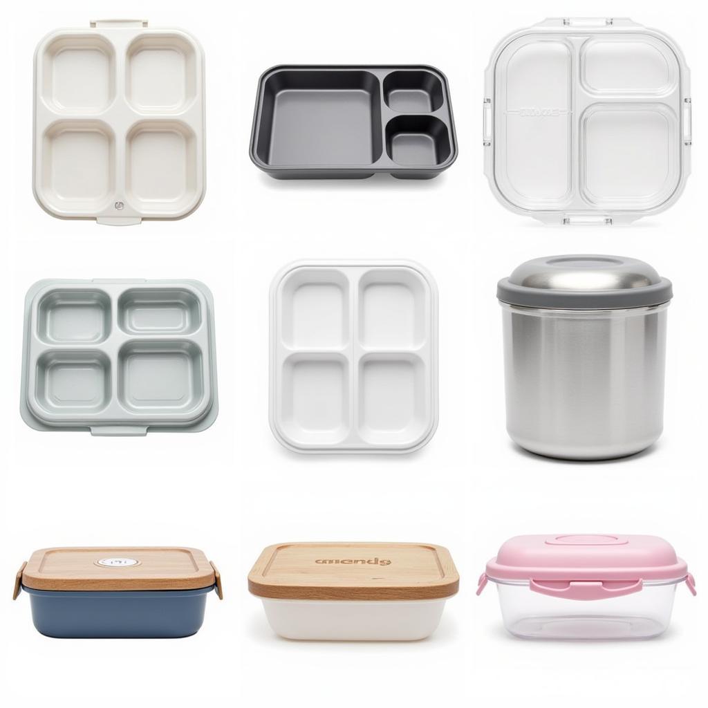 Various Multi Compartment Lunch Boxes for Different Needs