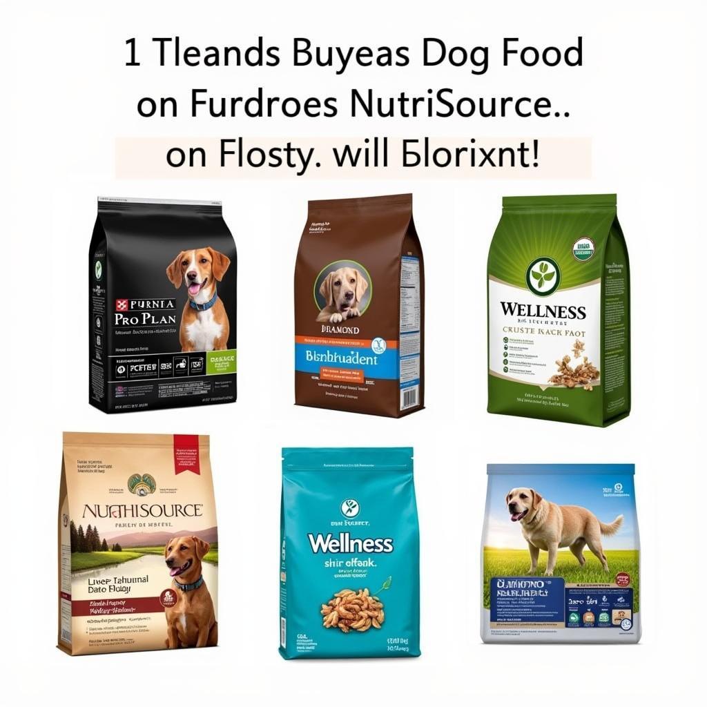 NutriSource Dog Food Alternatives: Comparing similar brands