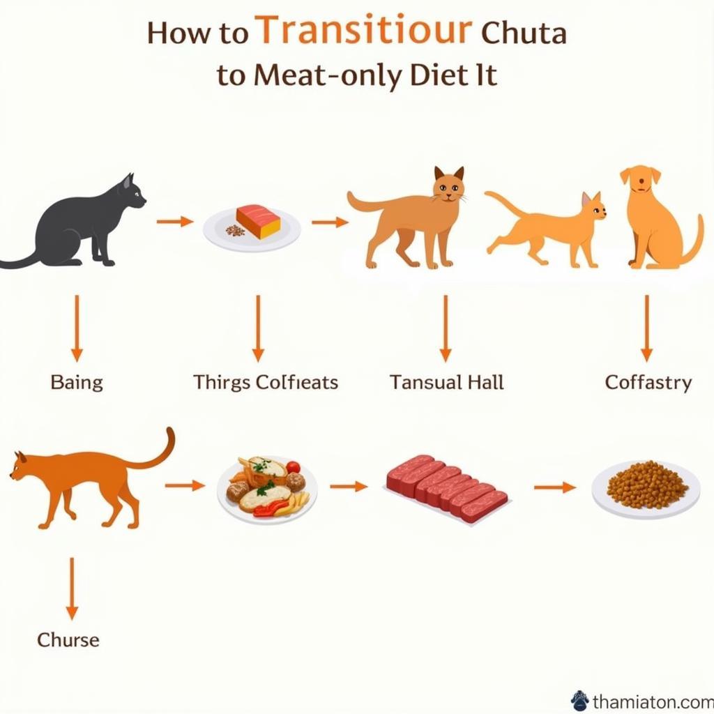 Tips for Transitioning to a Meat-Only Cat Food