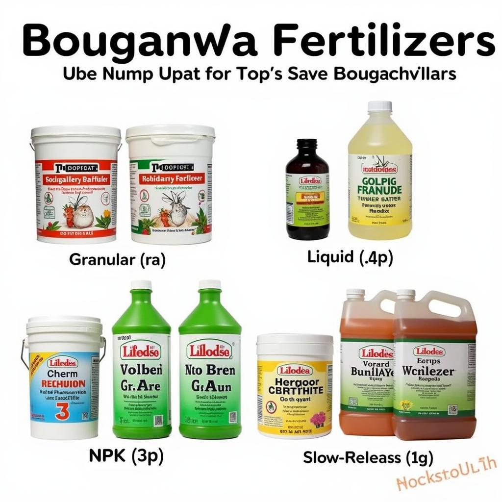 Different Types of Bougainvillea Fertilizers