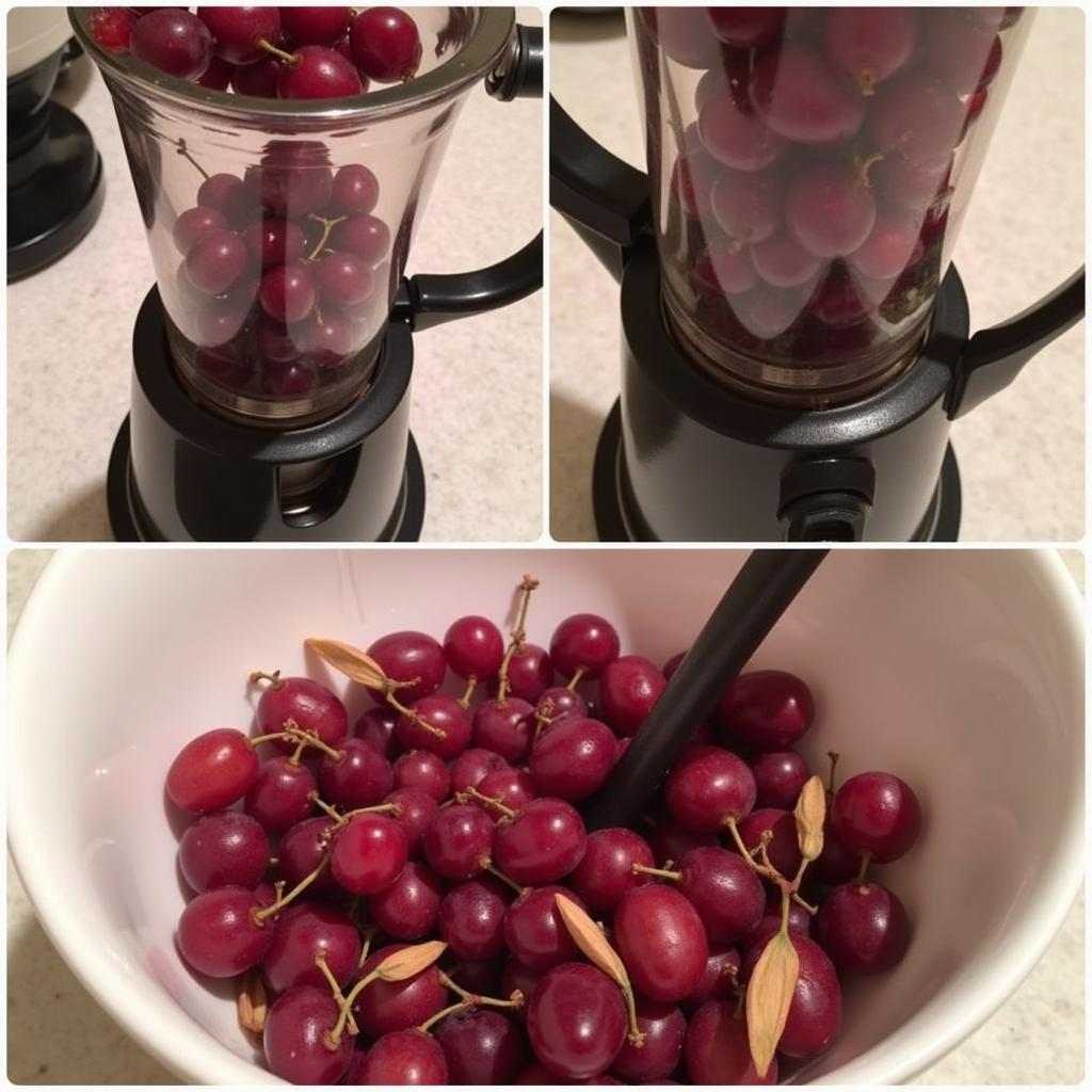 Using a Food Mill to Extract Grape Pulp